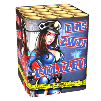 Lesli Eins, Zwei, Polizei